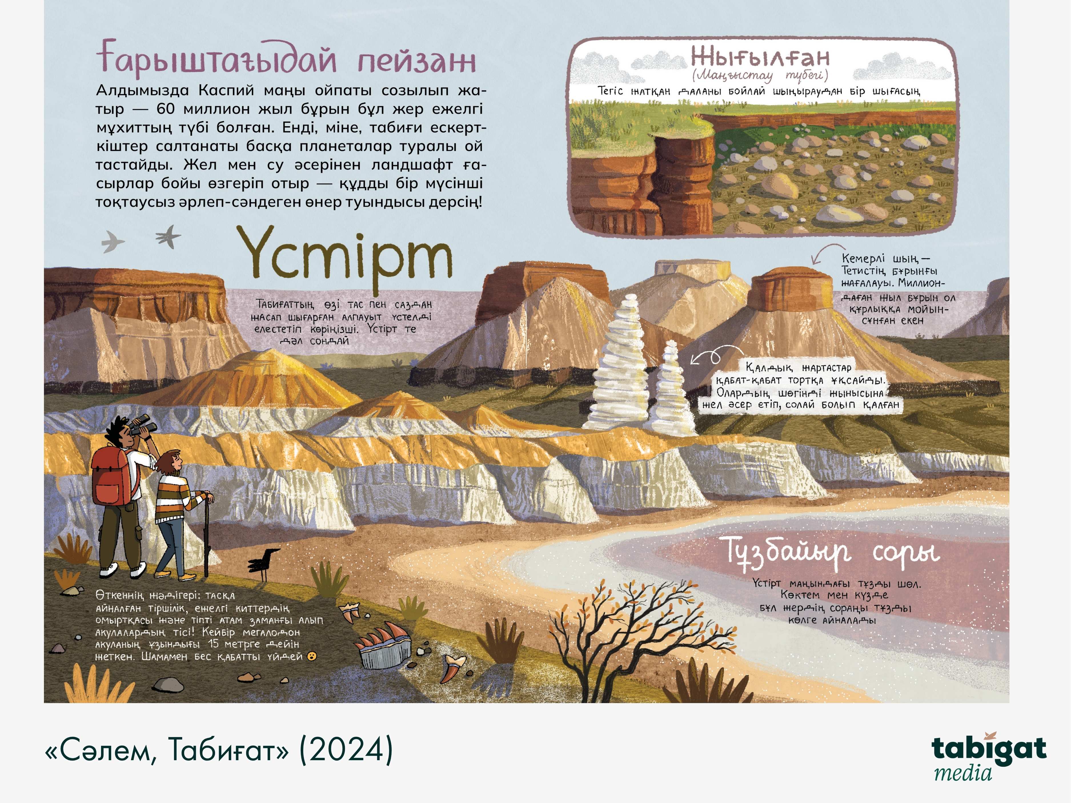 Мен өзімді қағып алдым, не істеуім керек?